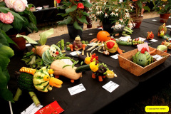 350.2026-09-02-Dorset-County-Show-Dorchester-Dorset.-350-