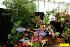 352.2026-09-02-Dorset-County-Show-Dorchester-Dorset.-352-
