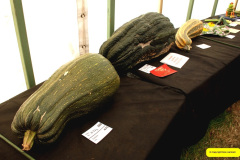 354.2026-09-02-Dorset-County-Show-Dorchester-Dorset.-354-