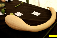 355.2026-09-02-Dorset-County-Show-Dorchester-Dorset.-355-
