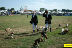 366.2026-09-02-Dorset-County-Show-Dorchester-Dorset.-366-Beagles-Main-Ring.-