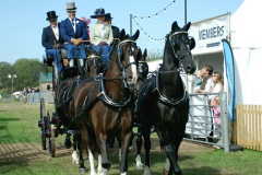 369.2026-09-02-Dorset-County-Show-Dorchester-Dorset.-369-Coaches-Main-Ring.-