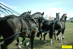 370.2026-09-02-Dorset-County-Show-Dorchester-Dorset.-370-Coaches-Main-Ring.-