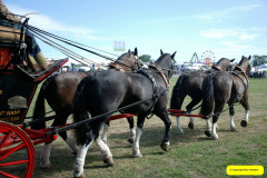 371.2026-09-02-Dorset-County-Show-Dorchester-Dorset.-371-Coaches-Main-Ring.-