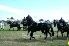 381.2026-09-02-Dorset-County-Show-Dorchester-Dorset.-381-Coaches-Main-Ring.-