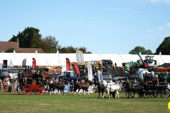384.2026-09-02-Dorset-County-Show-Dorchester-Dorset.-384-Coaches-Main-Ring.-