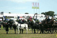 385.2026-09-02-Dorset-County-Show-Dorchester-Dorset.-385-Coaches-Main-Ring.-