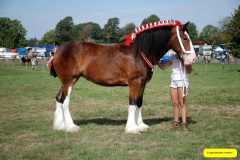 391.2026-09-02-Dorset-County-Show-Dorchester-Dorset.-391-Horses.-