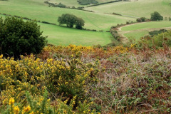 013.2026-09-12-Hardy-Monument-near-Dorchester-Dorset.-13-