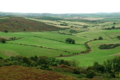015.2026-09-12-Hardy-Monument-near-Dorchester-Dorset.-15-