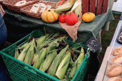 042.2026-09-13-Sturminster-Newton-Cheese-Festival-Dorset.-42-