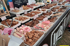 060.2026-09-13-Sturminster-Newton-Cheese-Festival-Dorset.-60-
