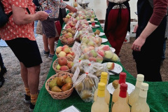 066.2026-09-13-Sturminster-Newton-Cheese-Festival-Dorset.-66-