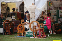 113.2026-09-13-Sturminster-Newton-Cheese-Festival-Dorset.-113-
