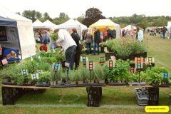 118.2026-09-13-Sturminster-Newton-Cheese-Festival-Dorset.-118-